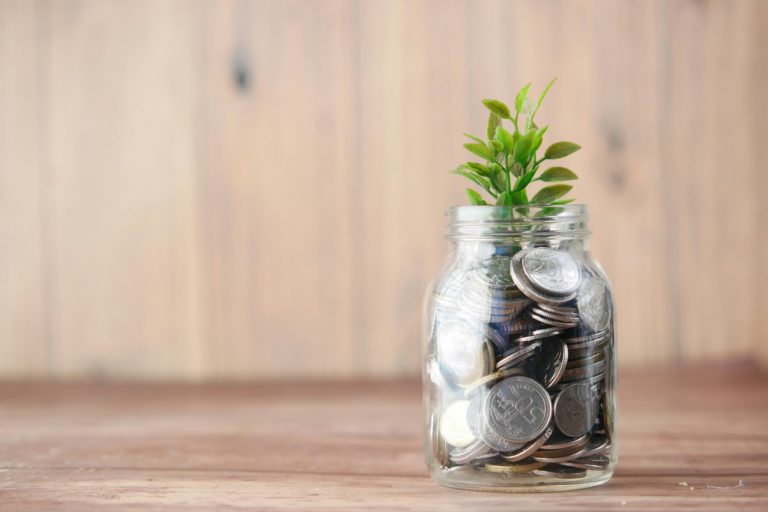 Nachhaltige Geldanlagen: mit Investments die Umwelt schützen